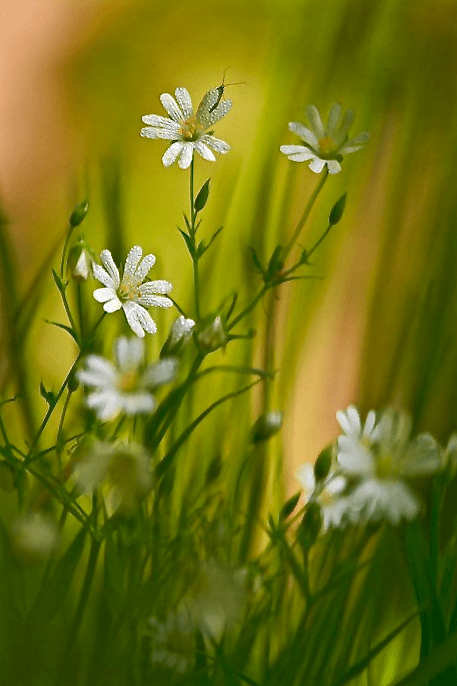 Screen Shot 2015-12-08 at 5.17.52 PM.png