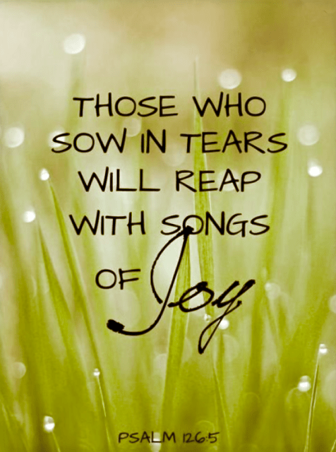 Screen Shot 2015-12-11 at 6.51.42 PM.png