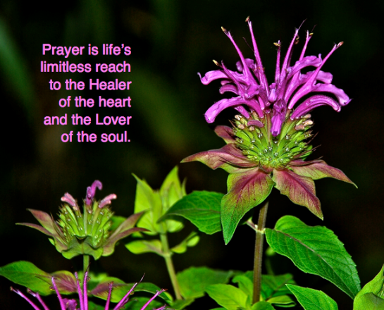 Screen Shot 2015-12-12 at 5.30.19 PM.png