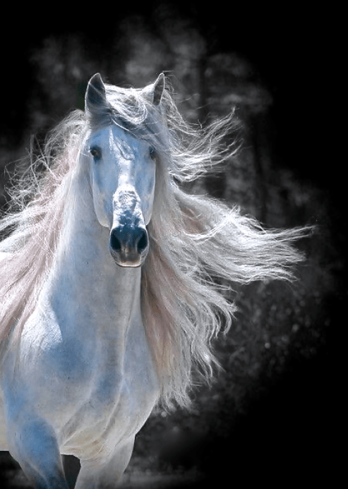 Screen Shot 2015-12-15 at 6.47.42 PM.png