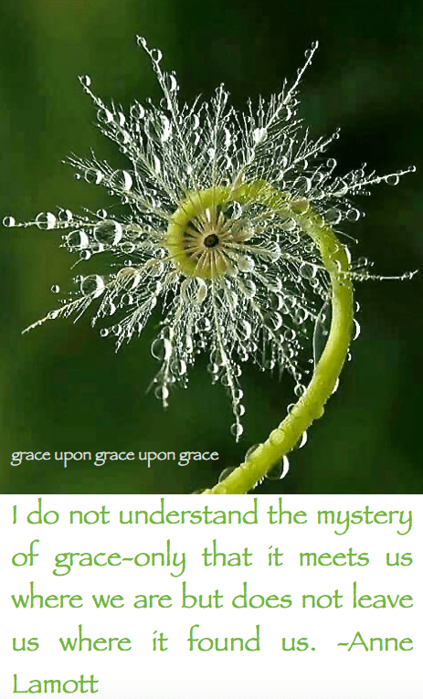 Screen Shot 2015-12-16 at 9.51.41 AM.png