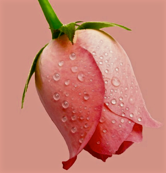 Screen Shot 2015-12-18 at 1.52.55 PM.png