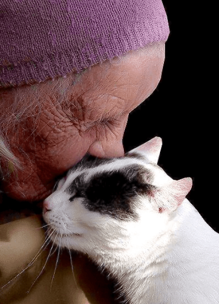 Screen Shot 2015-12-20 at 8.24.14 PM.png