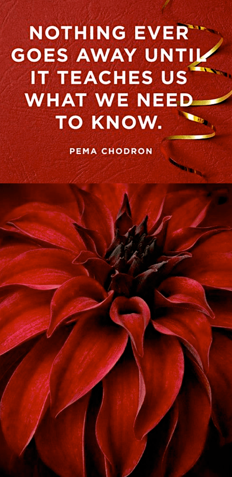 Screen Shot 2015-12-25 at 3.46.07 PM.png