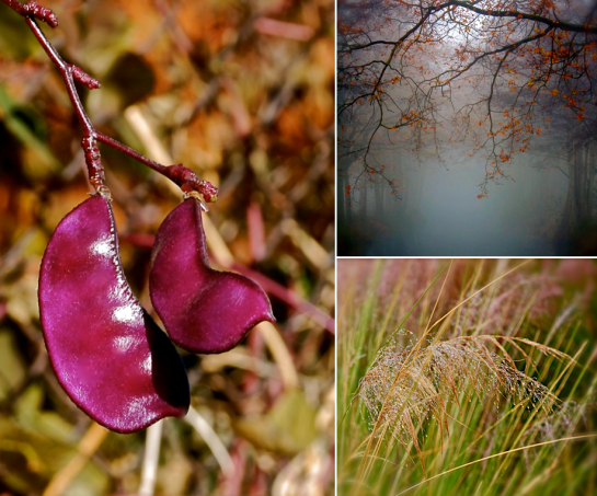 Screen Shot 2015-12-27 at 4.33.30 PM.png