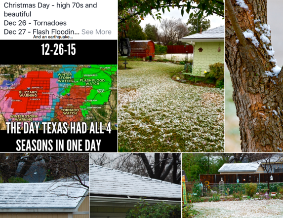 Screen Shot 2015-12-28 at 2.19.38 PM.png