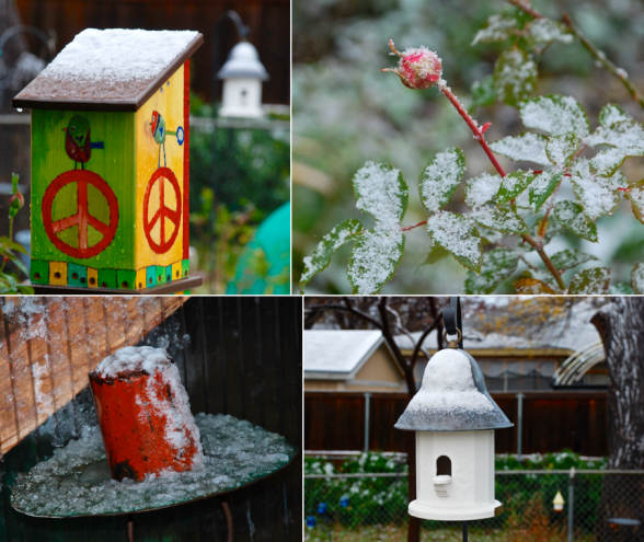 Screen Shot 2015-12-28 at 2.35.35 PM.png