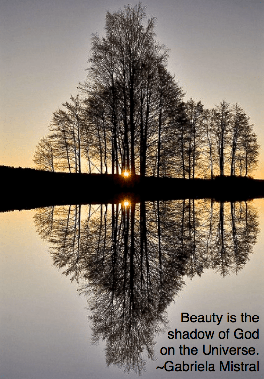 Screen Shot 2015-12-28 at 9.36.07 PM.png