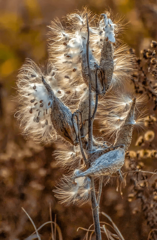 Screen Shot 2015-12-30 at 6.05.27 PM.png