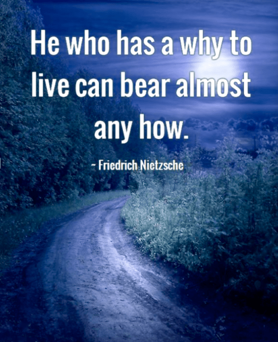 Screen Shot 2015-12-30 at 8.13.25 AM.png