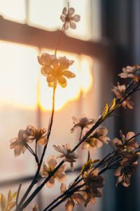 TH  73814ae71267a94e422216497593ac36