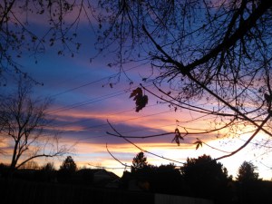 poetry and image copyright neha 2015