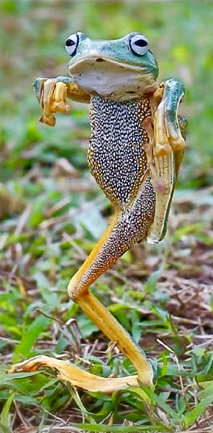 Screen Shot 2016-01-04 at 6.56.07 PM.png