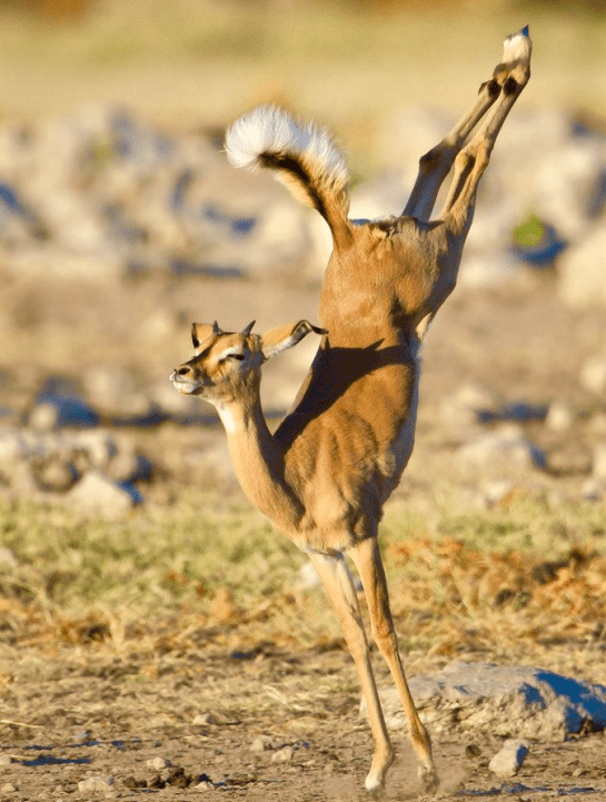 Screen Shot 2016-01-04 at 6.59.51 PM.png