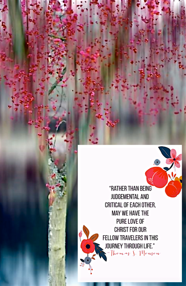 Screen Shot 2016-01-09 at 1.48.09 PM.png