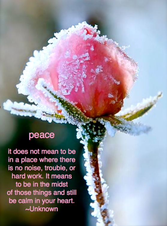 Screen Shot 2016-01-09 at 10.49.45 PM.png