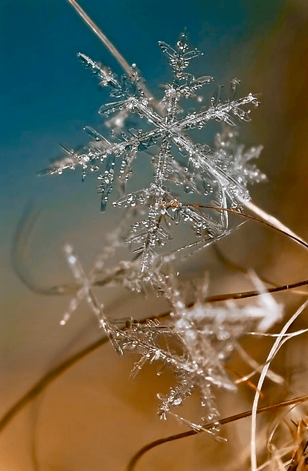 Screen Shot 2016-01-10 at 6.35.46 PM.png