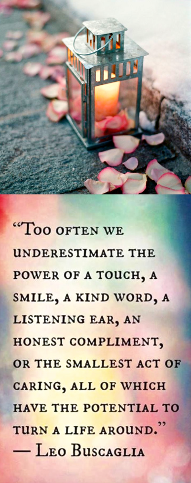 Screen Shot 2016-01-11 at 11.00.31 PM.png