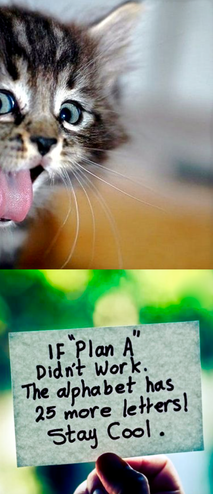 Screen Shot 2016-01-12 at 10.53.13 PM.png