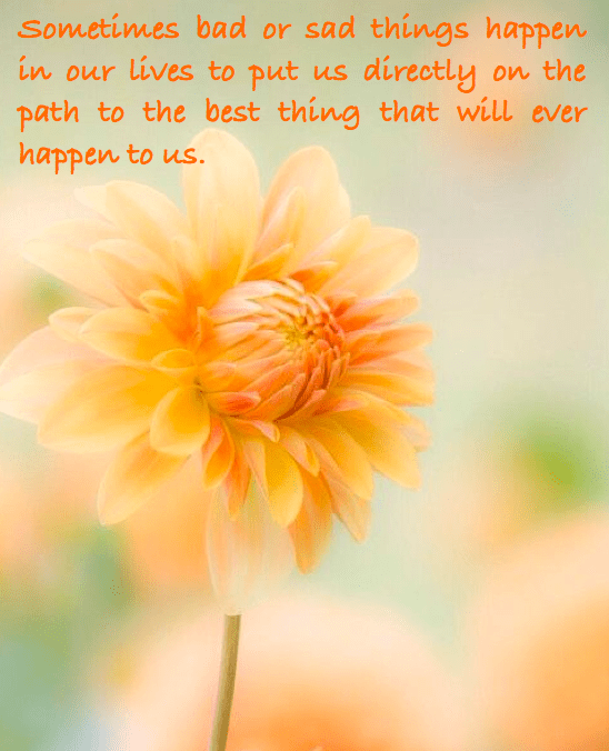 Screen Shot 2016-01-13 at 10.40.27 PM.png