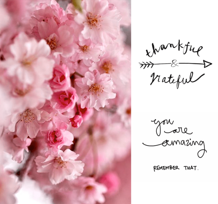 Screen Shot 2016-01-13 at 9.21.37 PM.png