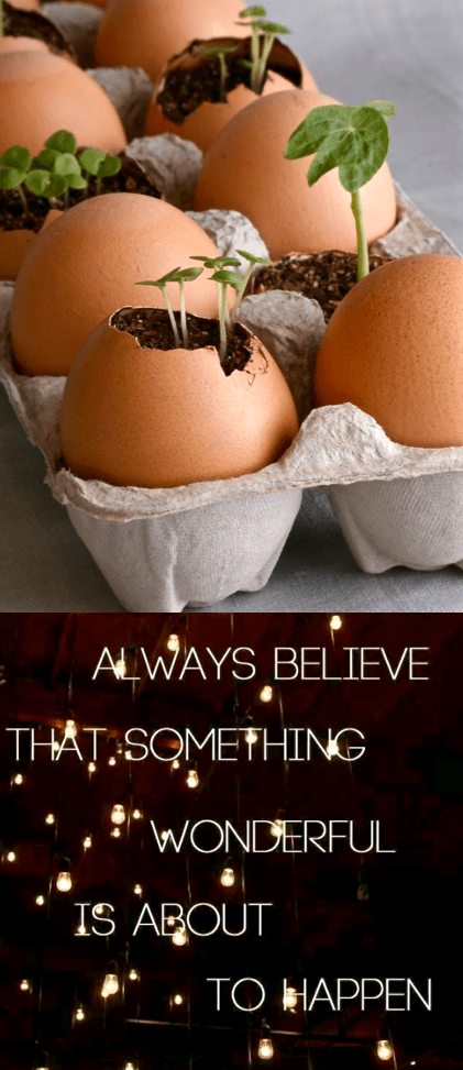 Screen Shot 2016-01-14 at 10.29.33 PM.png