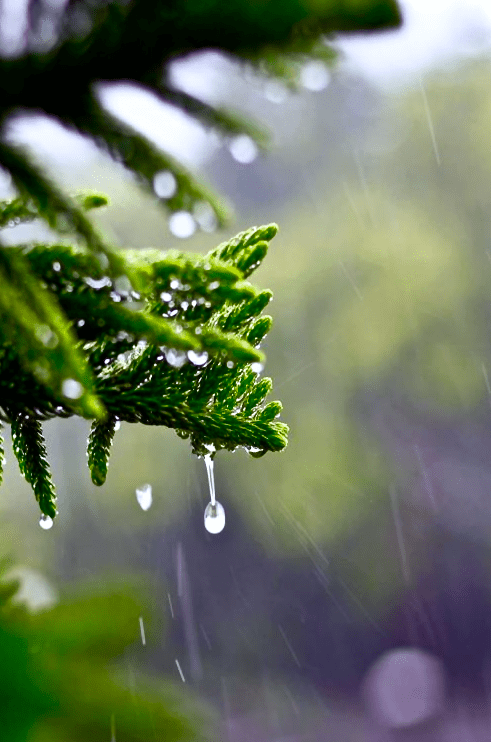 Screen Shot 2016-01-15 at 7.07.03 PM.png