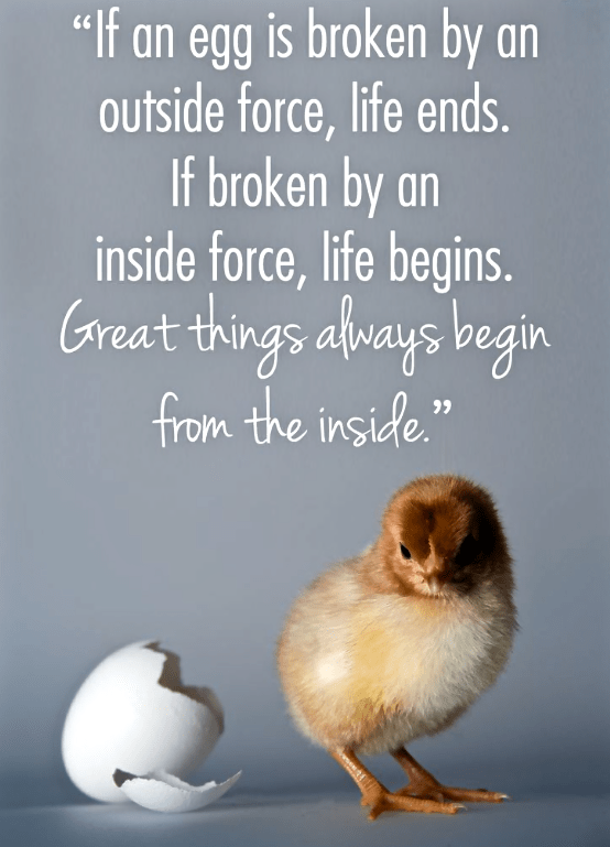 Screen Shot 2016-01-18 at 9.45.34 PM.png