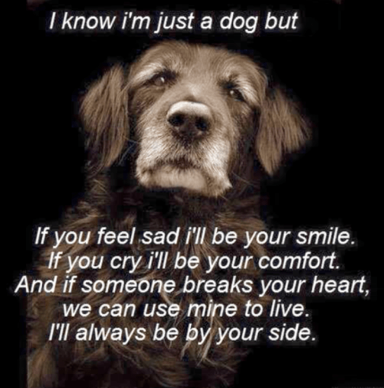 Screen Shot 2016-01-21 at 4.57.34 PM.png