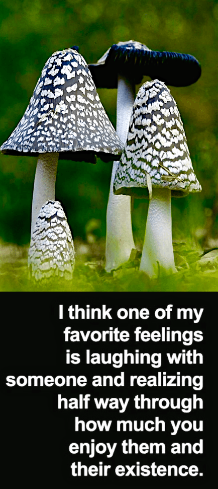 Screen Shot 2016-01-22 at 7.26.26 PM.png