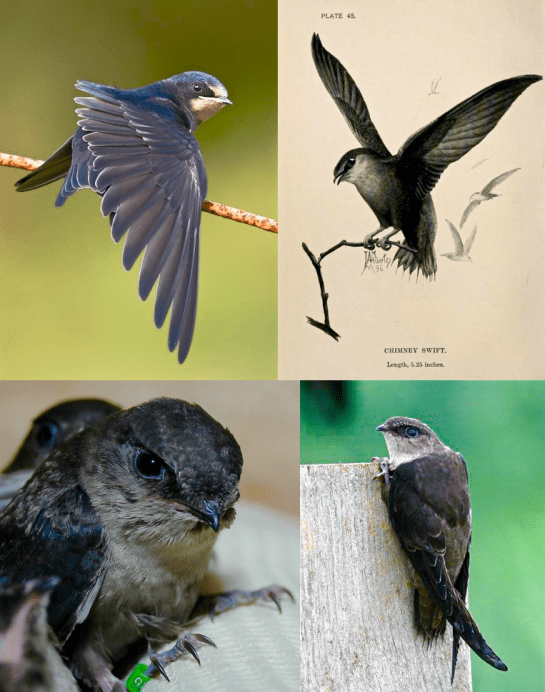 Screen Shot 2016-01-23 at 5.35.30 PM.png