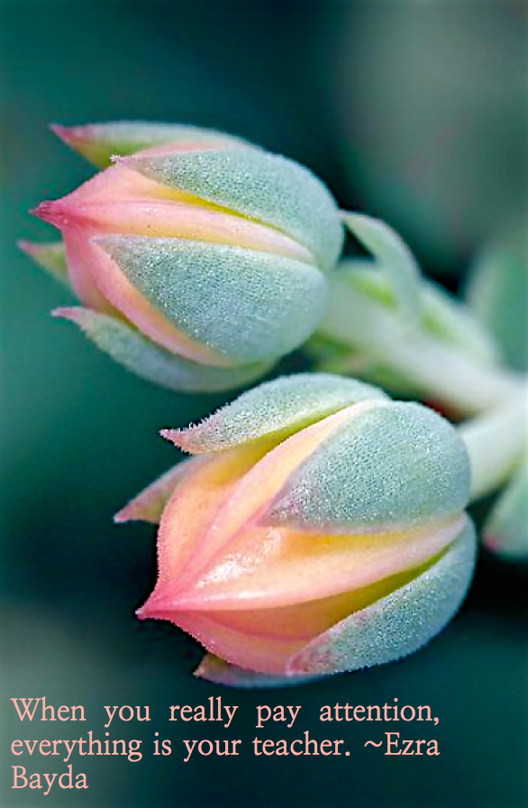 Screen Shot 2016-01-25 at 9.42.53 PM.png