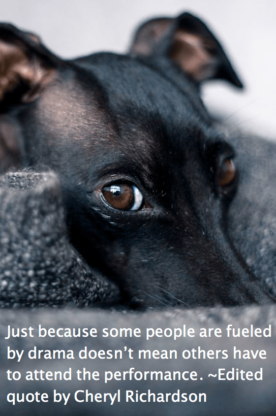 Screen Shot 2016-01-25 at 9.51.37 PM.png