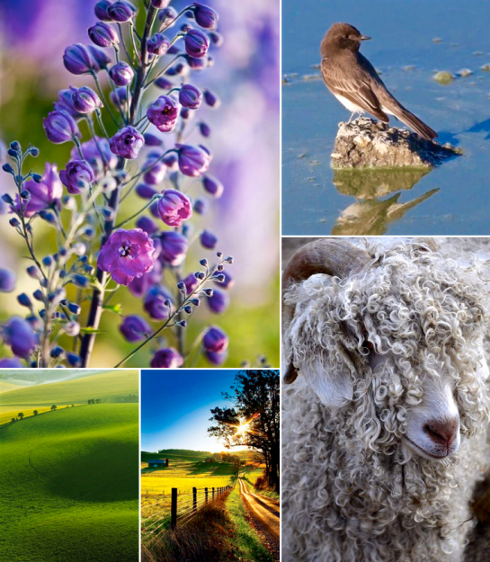 Screen Shot 2016-01-26 at 7.42.44 PM.png