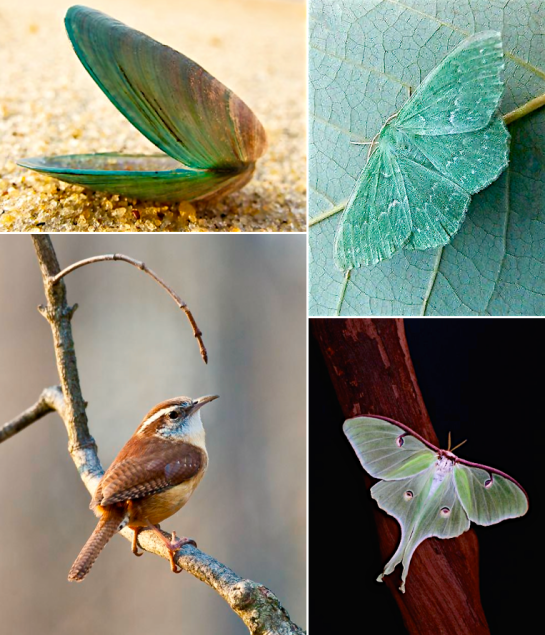 Screen Shot 2016-01-26 at 7.55.45 PM.png