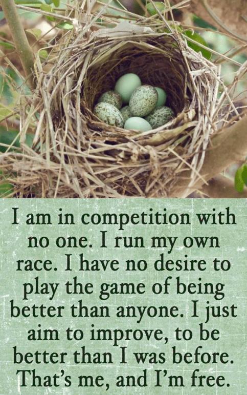 Screen Shot 2016-01-27 at 9.33.15 PM.png