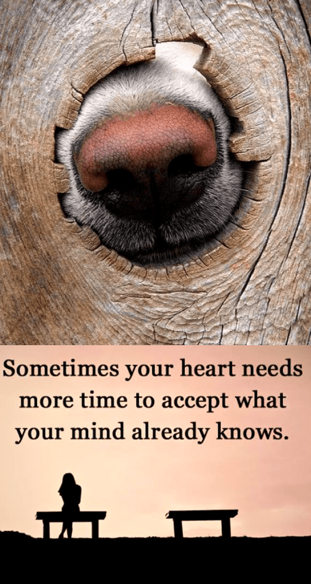 Screen Shot 2016-01-27 at 9.41.04 PM.png