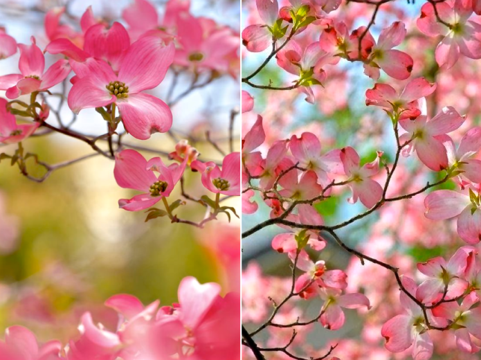 Screen Shot 2016-01-29 at 7.26.04 PM.png