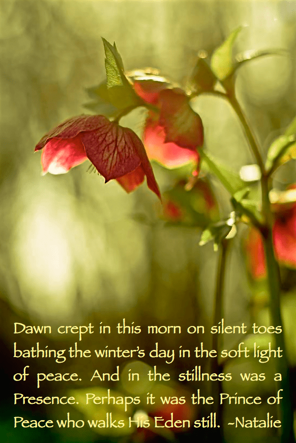 Screen Shot 2016-01-30 at 9.27.37 AM.png