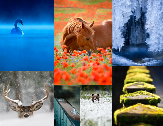 Screen Shot 2016-02-02 at 8.03.02 PM.png