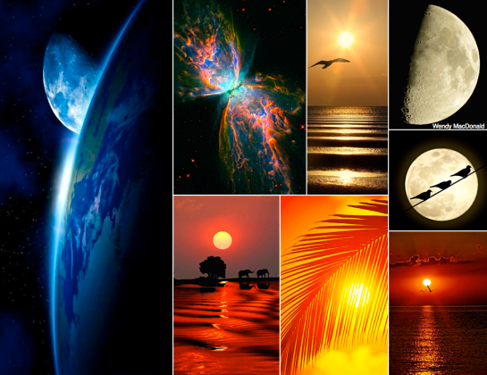 Screen Shot 2016-02-03 at 7.46.16 PM.png