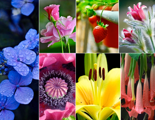 Screen Shot 2016-02-03 at 7.57.02 PM.png