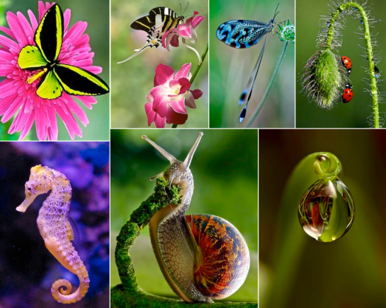 Screen Shot 2016-02-03 at 8.10.22 PM.png