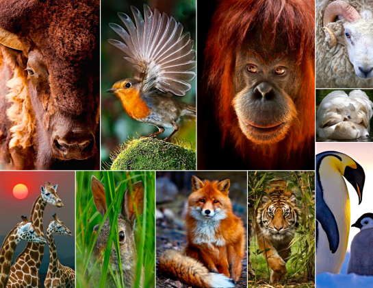 Screen Shot 2016-02-03 at 8.29.35 PM.png