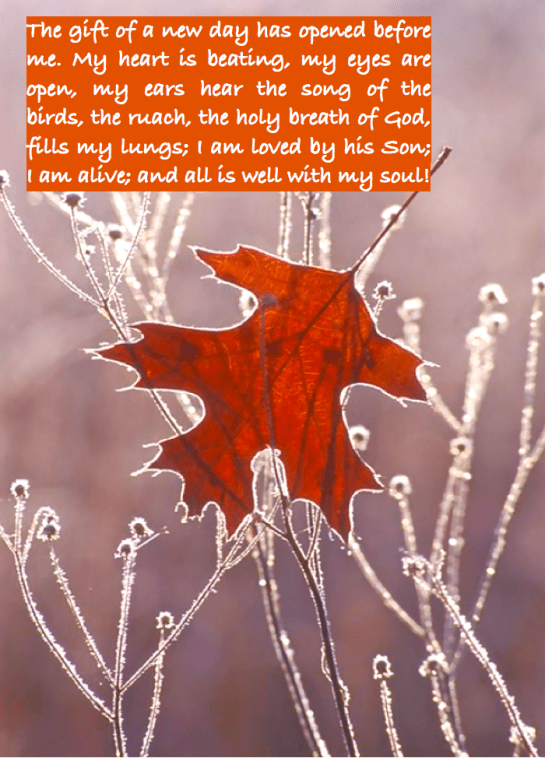 Screen Shot 2016-02-03 at 9.18.43 AM.png