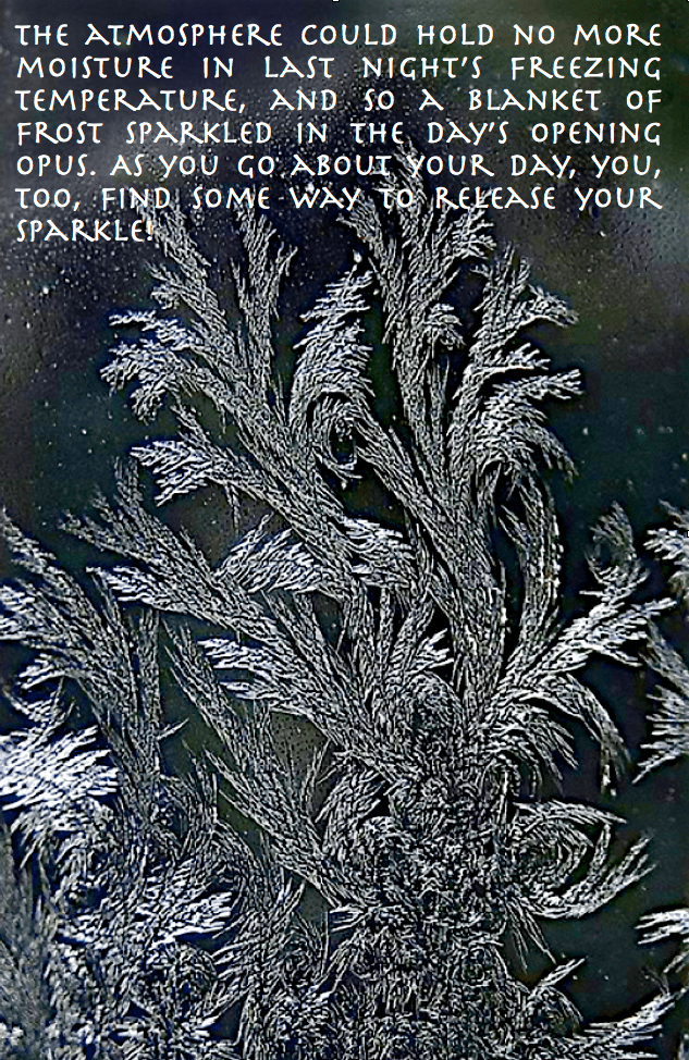 Screen Shot 2016-02-04 at 10.02.46 AM.png