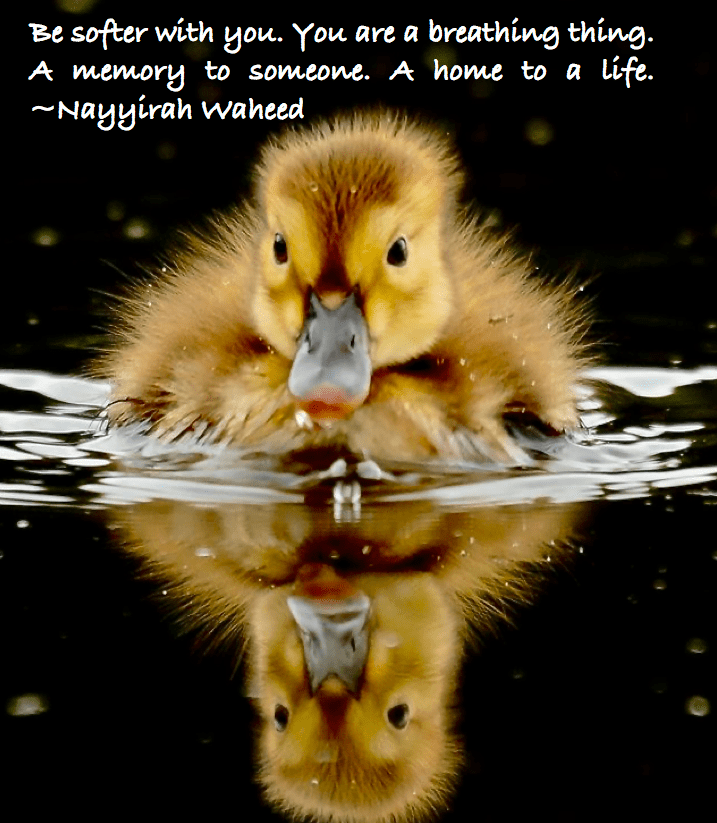 Screen Shot 2016-02-04 at 11.09.12 PM.png