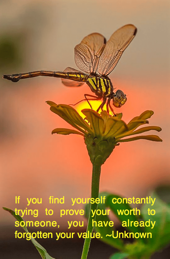 Screen Shot 2016-02-04 at 11.18.19 PM.png