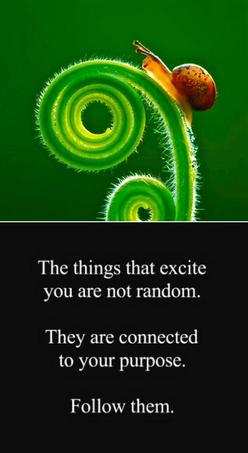 Screen Shot 2016-02-04 at 8.03.42 AM.png