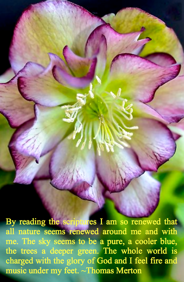 Screen Shot 2016-02-05 at 10.45.57 PM.png